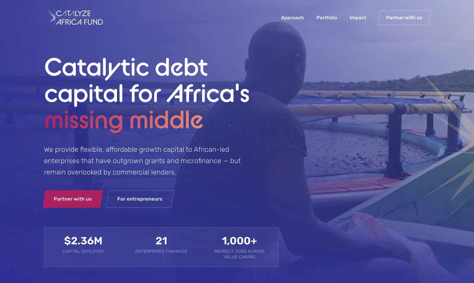 Catalyze Africa Fund website